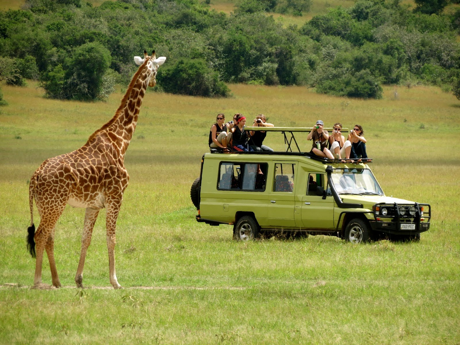 TanzaniWildlifetour